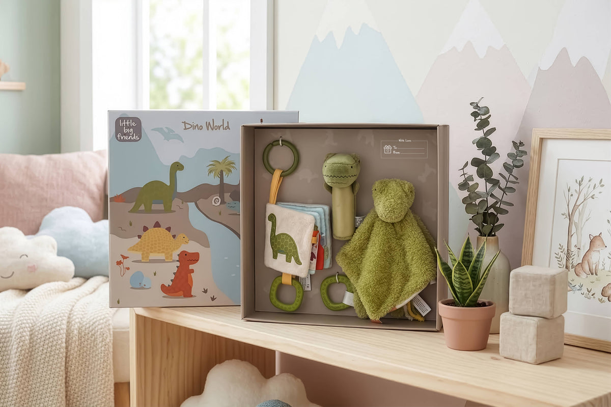 Little Big Friends Baby Gift Box  - Dino friends