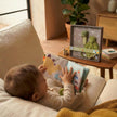 Little Big Friends Baby Gift Box  - Dino friends