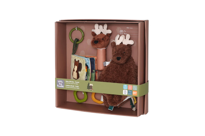 Little Big Friends Baby Gift Box – Forest