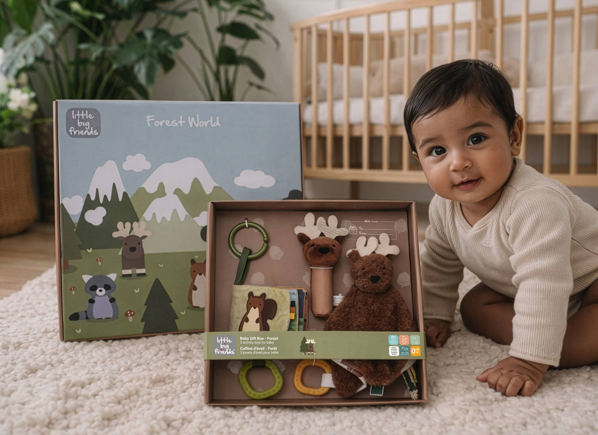Little Big Friends Baby Gift Box – Forest