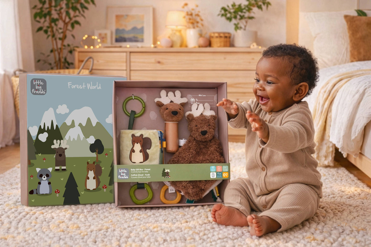 Little Big Friends Baby Gift Box – Forest