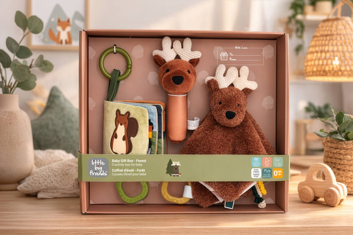 Little Big Friends Baby Gift Box – Forest