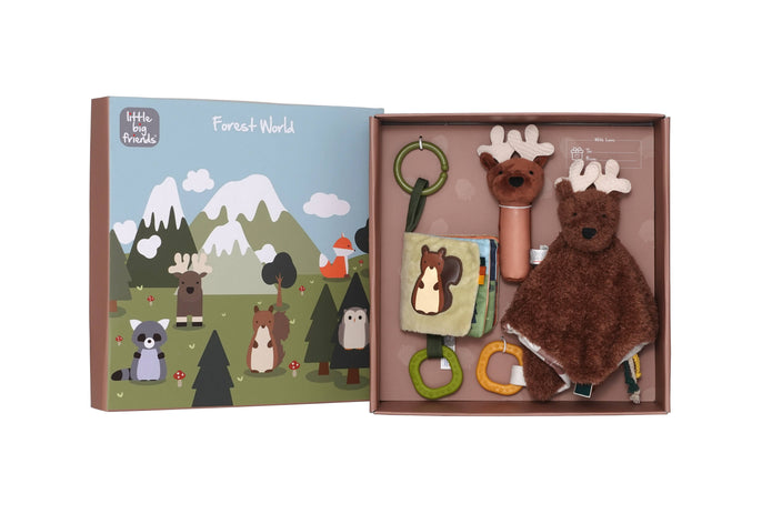Little Big Friends Baby Gift Box – Forest