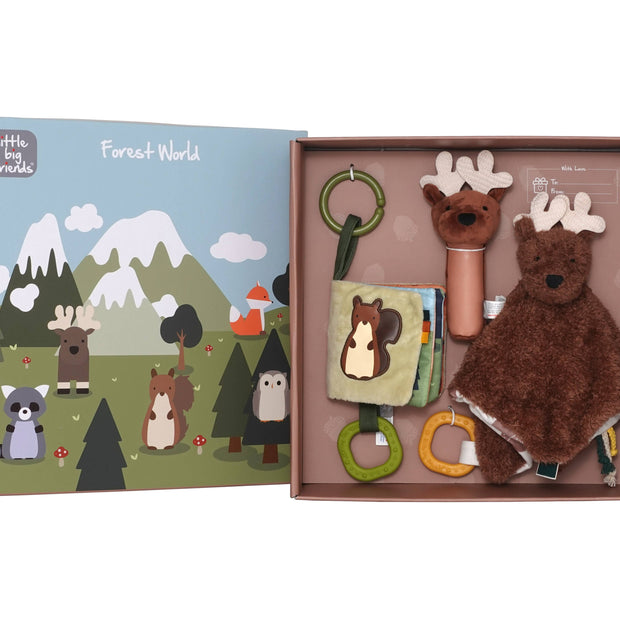 Little Big Friends Baby Gift Box – Forest